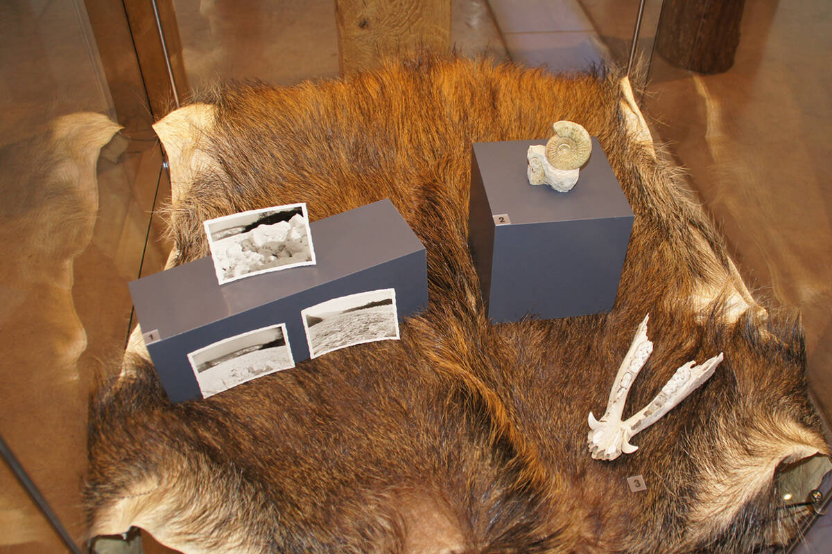 Schülerschätze in einer Vitrine des kelten römer museums.