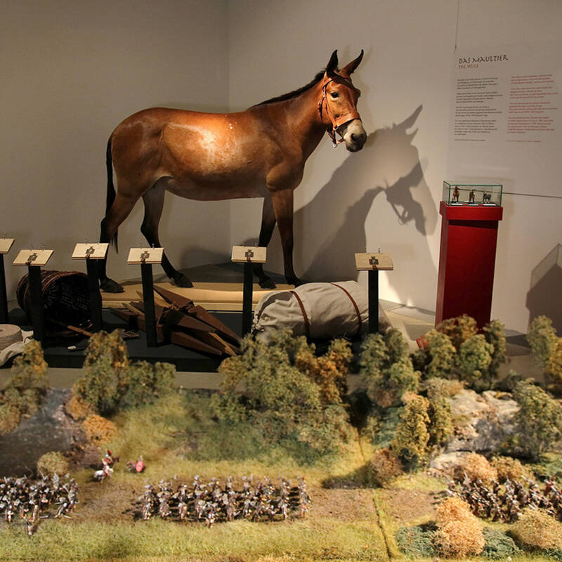 2025-7_Tierische Unterstützung_Artikelbild. © krm manching / Foto: Max Foerster