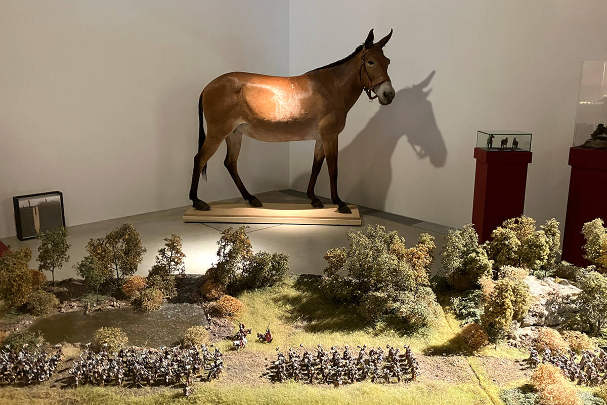 Ab dem 11.04.2025 ist Renate in der neuen Sonderausstellung »Roms Armee im Feld« zu sehen.