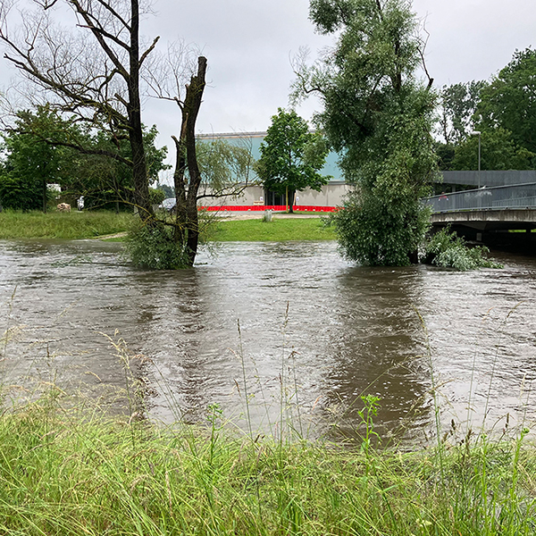 Artikelbild: Den Fluten entronnen · © krm manching / Foto: Tobias Esch