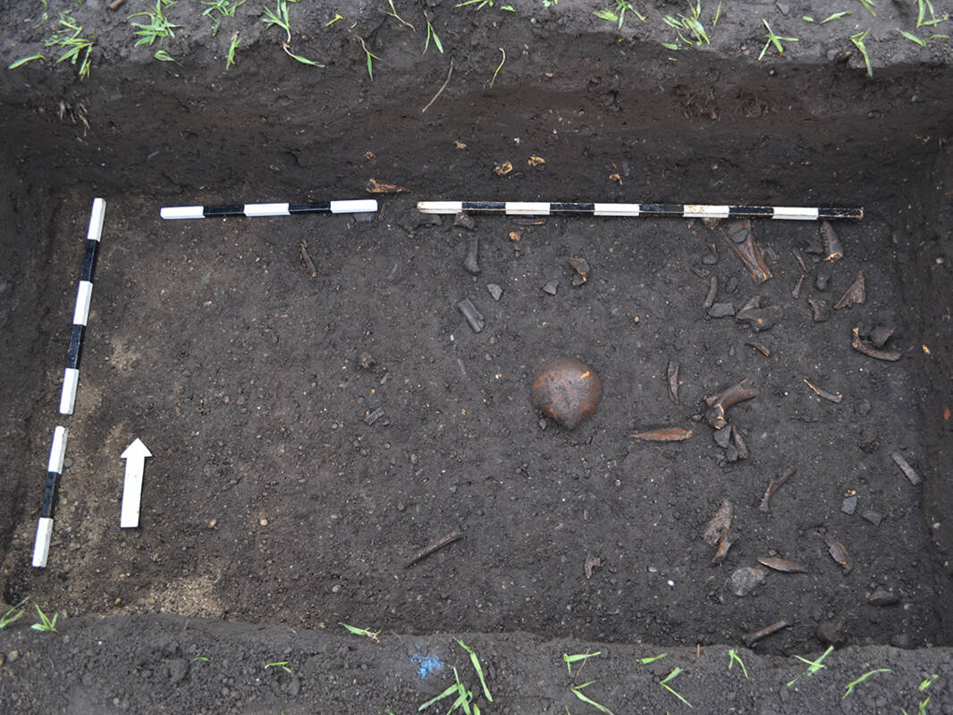 Befund mit drei menschlichen Skeletten.