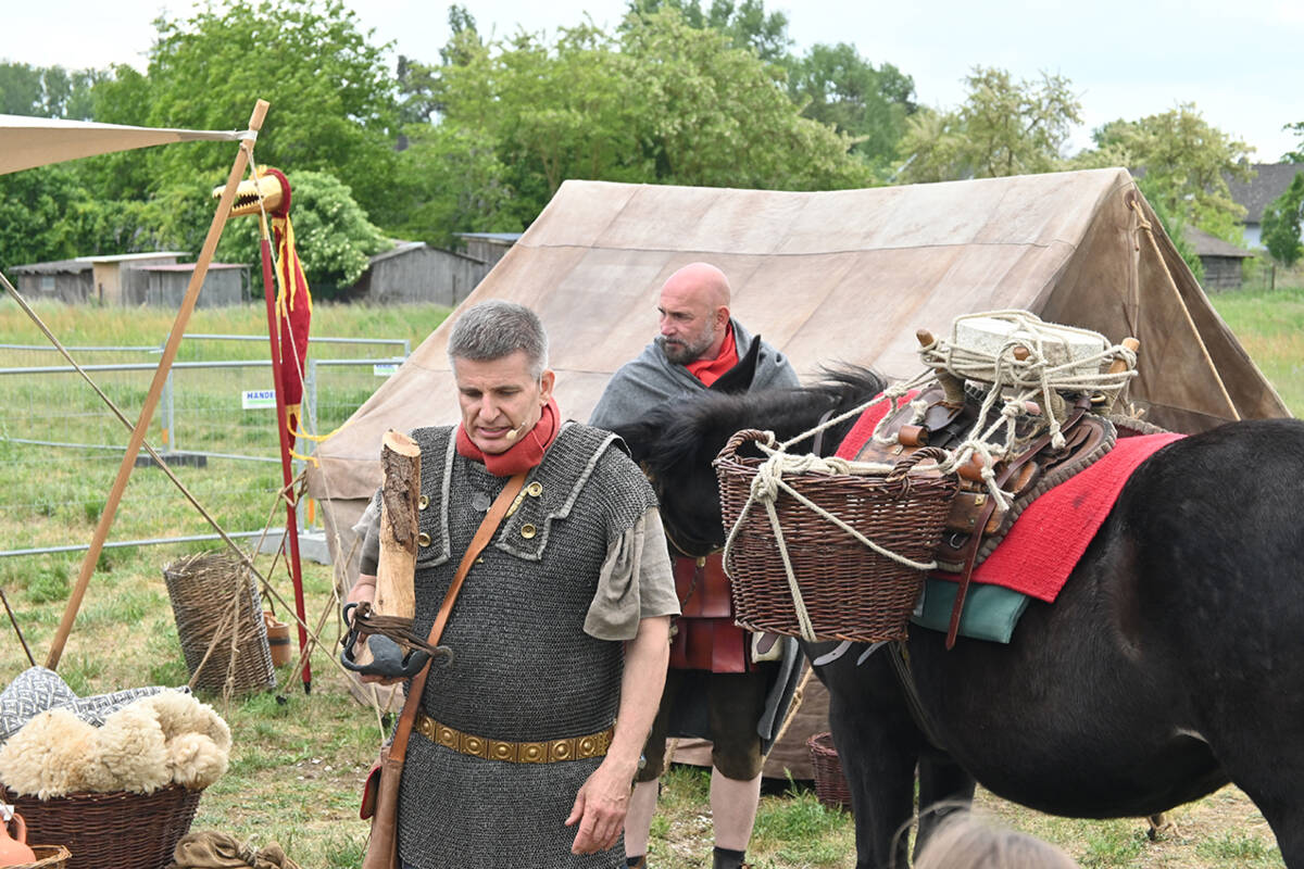 Anstatt Hufeisen trugen die römischen Maultiere sogenannte Hipposandalen.