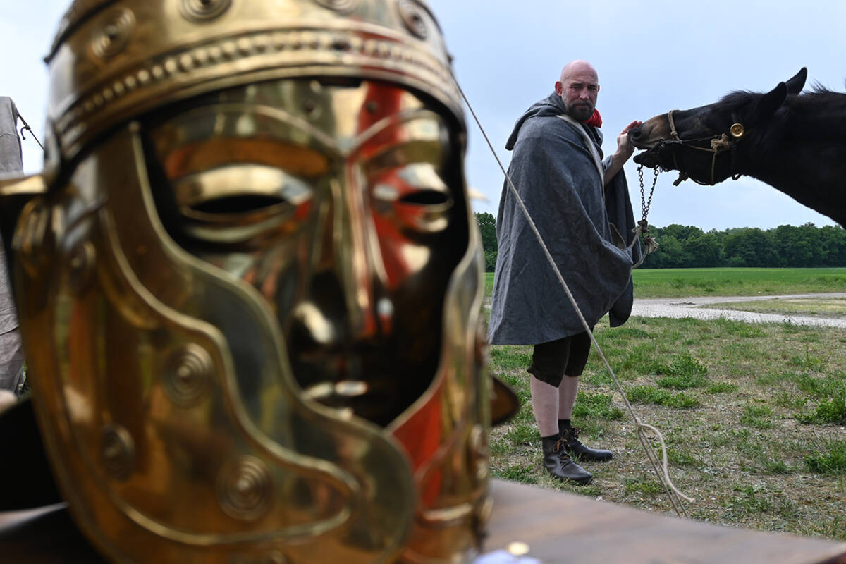Maultier Gustav und Mulio Thomas, im Vordergrund ein römischer Paradehelm mit Gesichtsmaske.