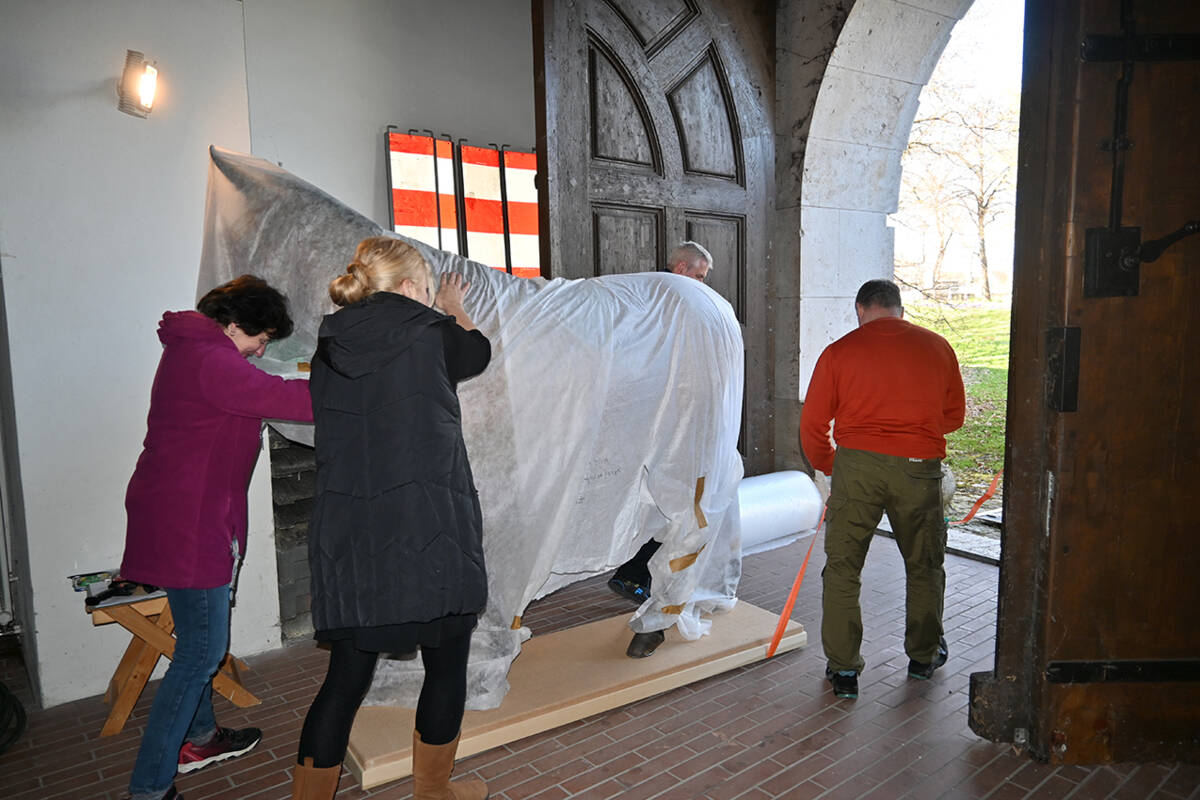 Das Maultier Renate verlässt seinen heimischen Stall im Reduit Tilly in Ingolstadt.