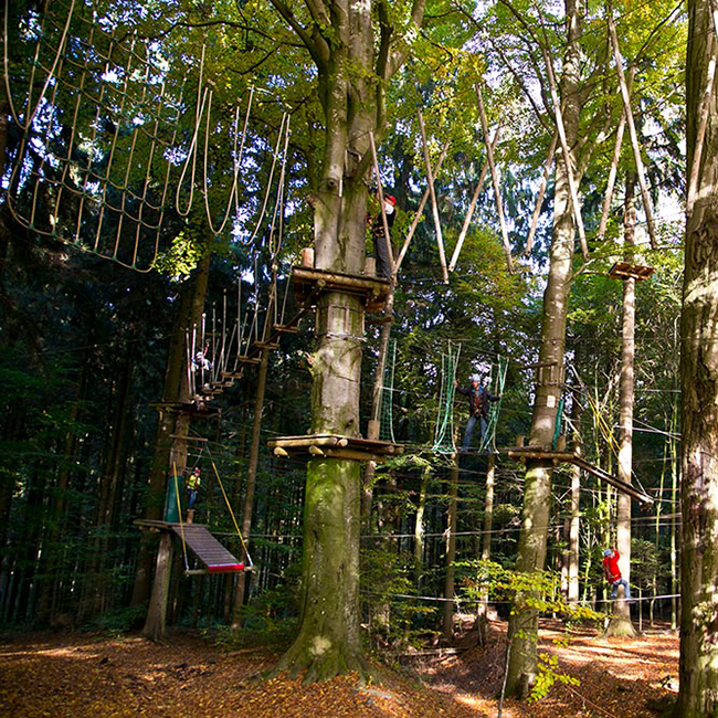 Der Waldkletterpark Oberbayern in Jetzendorf. © Waldkletterpark Oberbayern