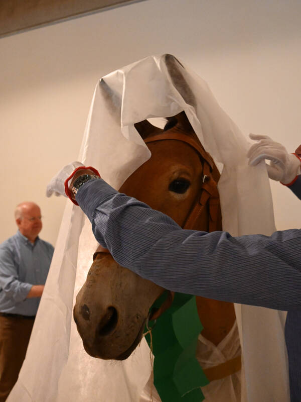 Vorsichtig wird Renate ausgepackt.